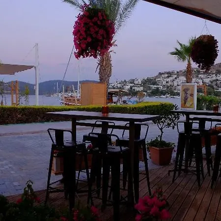 Buk Beach Club Fogadó