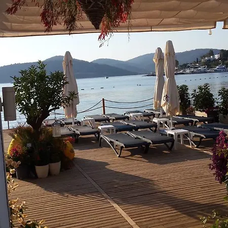 Buk Beach Club Göltürkbükü